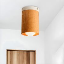 Colore Legno