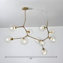 Transparente