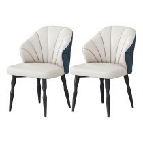 2 Chaises Bleues