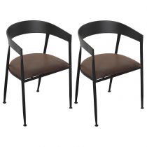 2 Chaises Marron