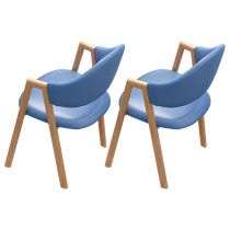 2 Blue Chairs