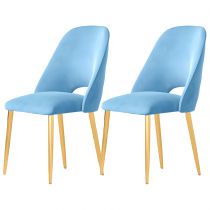 2 Chaises Bleues