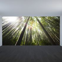 緑色