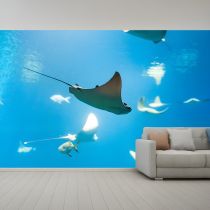 Ocean Blue