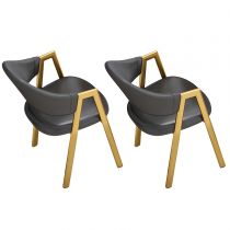 2 Dark Grey Chairs