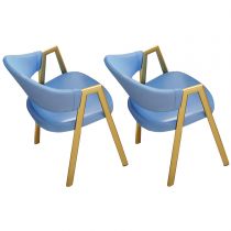 2 Blue Chairs