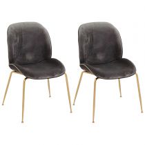 2 Chaises Gris