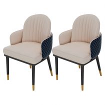 2 Chaises Bleues