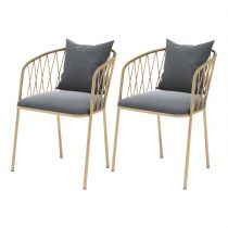 2 Chaises Gris