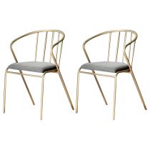 2 Chaises Gris