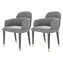 2 Chaises Gris