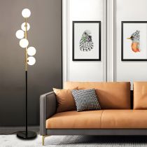 6-Light