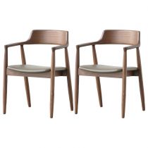 2 Chaises Gris