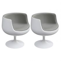 2 Chaises Gris