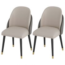 2 Chaises Gris