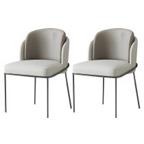 2 Chaises Gris