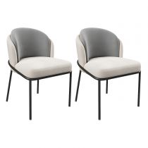 2 Chaises Gris