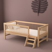 Kids Bed & Side Ladder