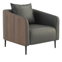 Accent Chairs