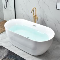 Bathtub & Gold Freestanding Faucet