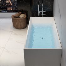 Bathtub & Silver Freestanding Faucet