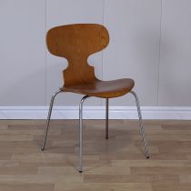 Nussbaum