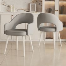 Light Gray