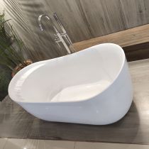 Bathtub & Silver Freestanding Faucet