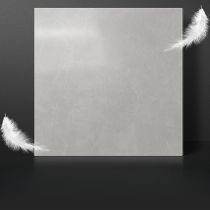 Lichtgrijs