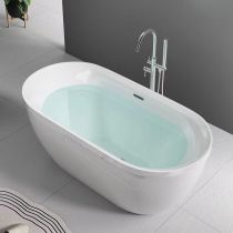 Bathtub & Silver Freestanding Faucet