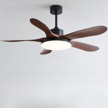 Black/Walnut