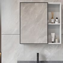 Light Gray