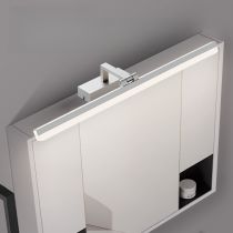 Silber