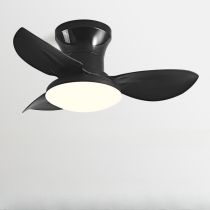 Negro