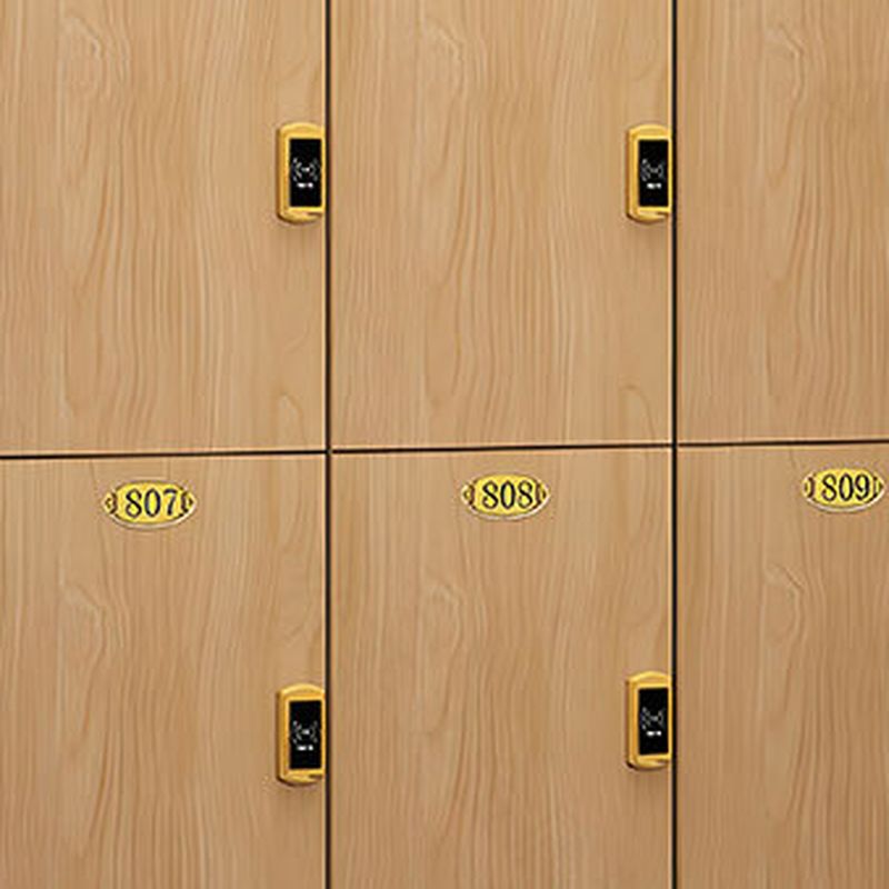 Timber Gym & Locker Room Lockers, 3-tier, 4-Wide, Partial Assembly ...