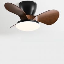 Noir-Noyer