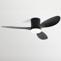 Negro