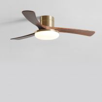 Bronze